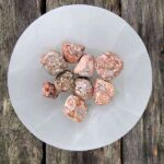 Crinoid Tumbles Tumbles Lowcountry Crystals | Healing Gemstones, Crystal Jewelry, and Spiritual Gifts