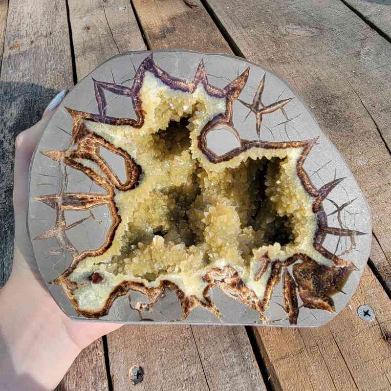 Septarian Free Form Free Forms Lowcountry Crystals | Healing Gemstones, Crystal Jewelry, and Spiritual Gifts